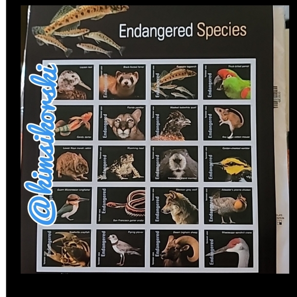 100 Forever Stamps Endangered Species Animals Stamp USPS Postage Mail - Picture 6 of 13